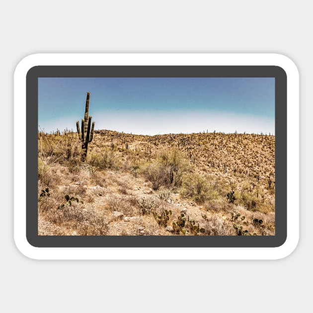 Apache Trail Scenic Drive View Sticker by Gestalt Imagery